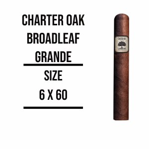 Charter Oak Maduro Grande (6x60) - Image 2