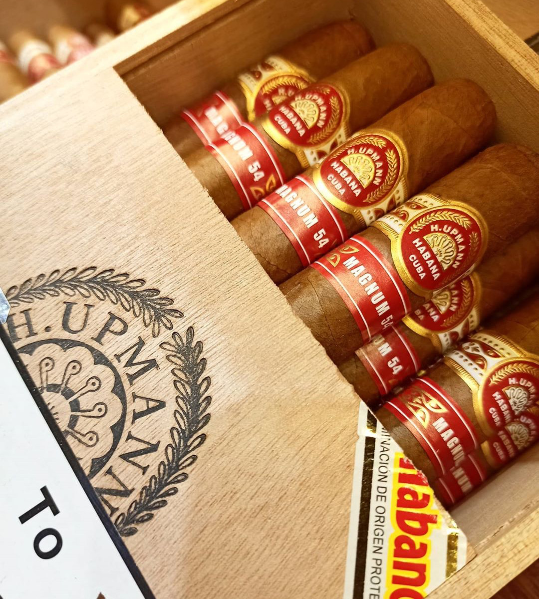 H. Upmann Magnum 54 - Cuban Cigar - Image 2