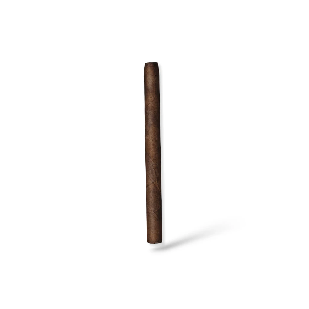 Zino Nicaragua Mini - 5 Cigarillos - Image 2